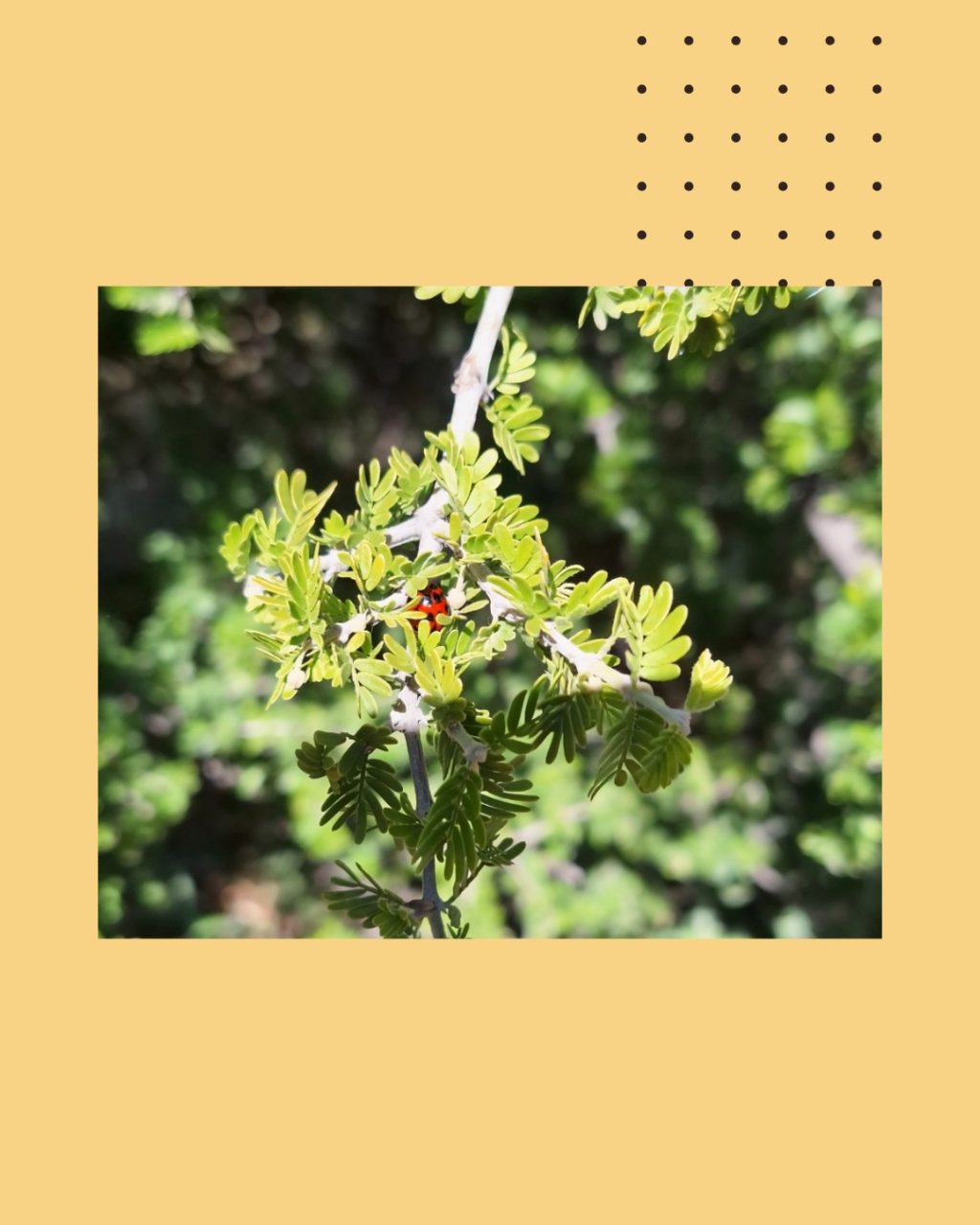 Instagram post from rosarioconcha1913. This post is in position 3.