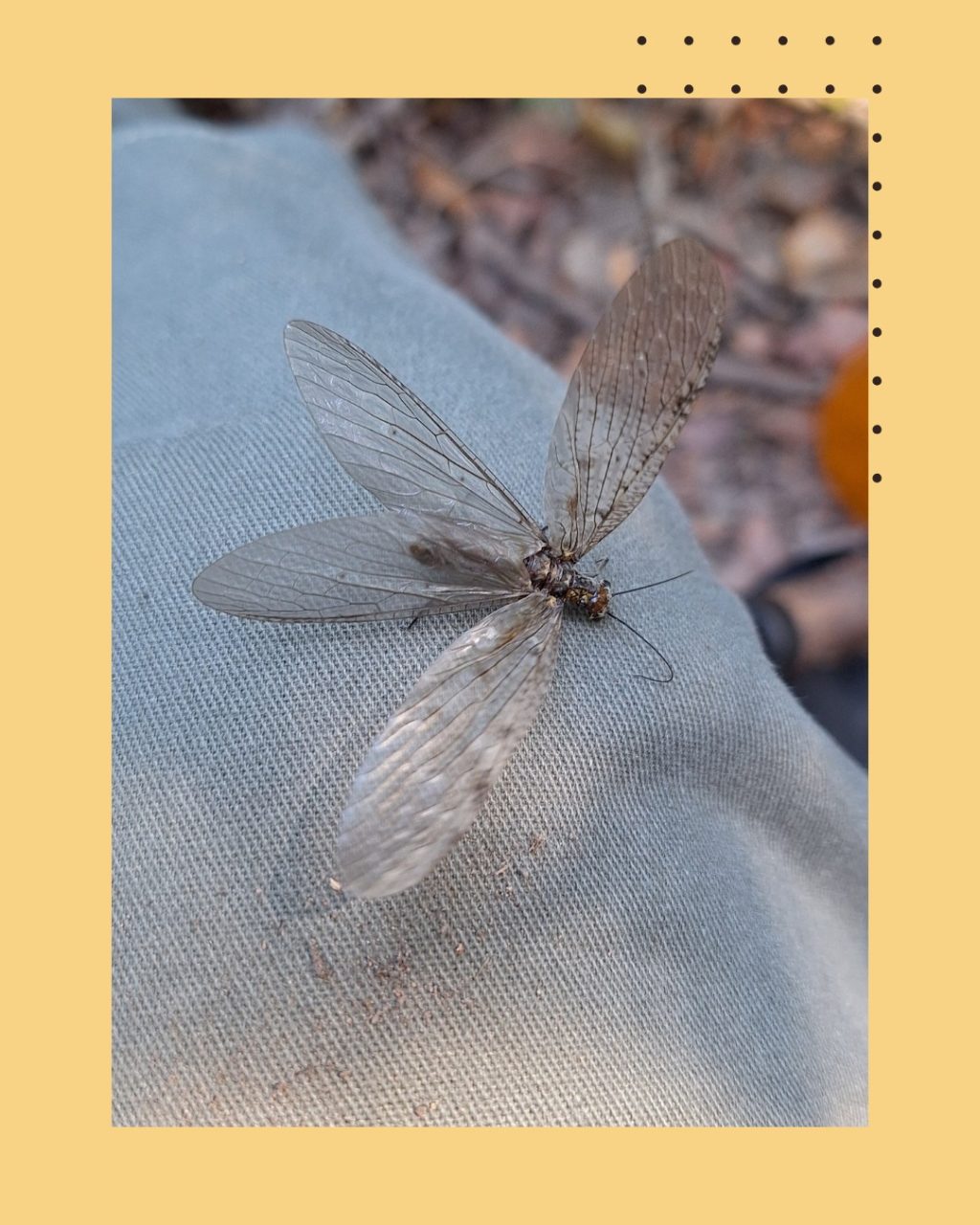 Instagram post from rosarioconcha1913. This post is in position 2.