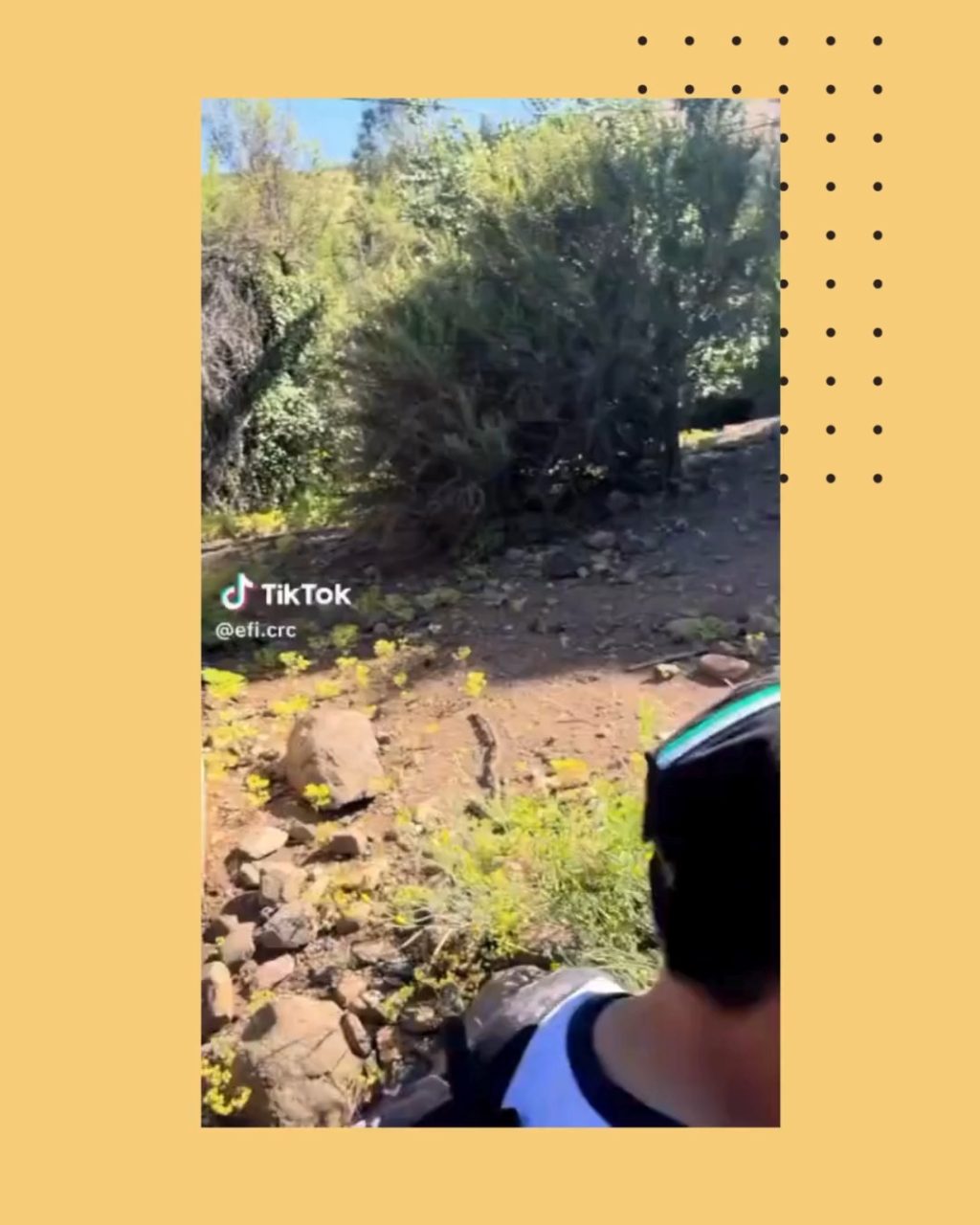 Instagram post from rosarioconcha1913. This post is in position 6.