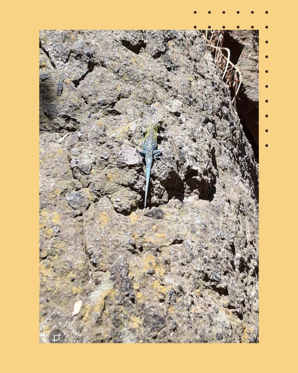 Instagram post from rosarioconcha1913. This post is in position 1.