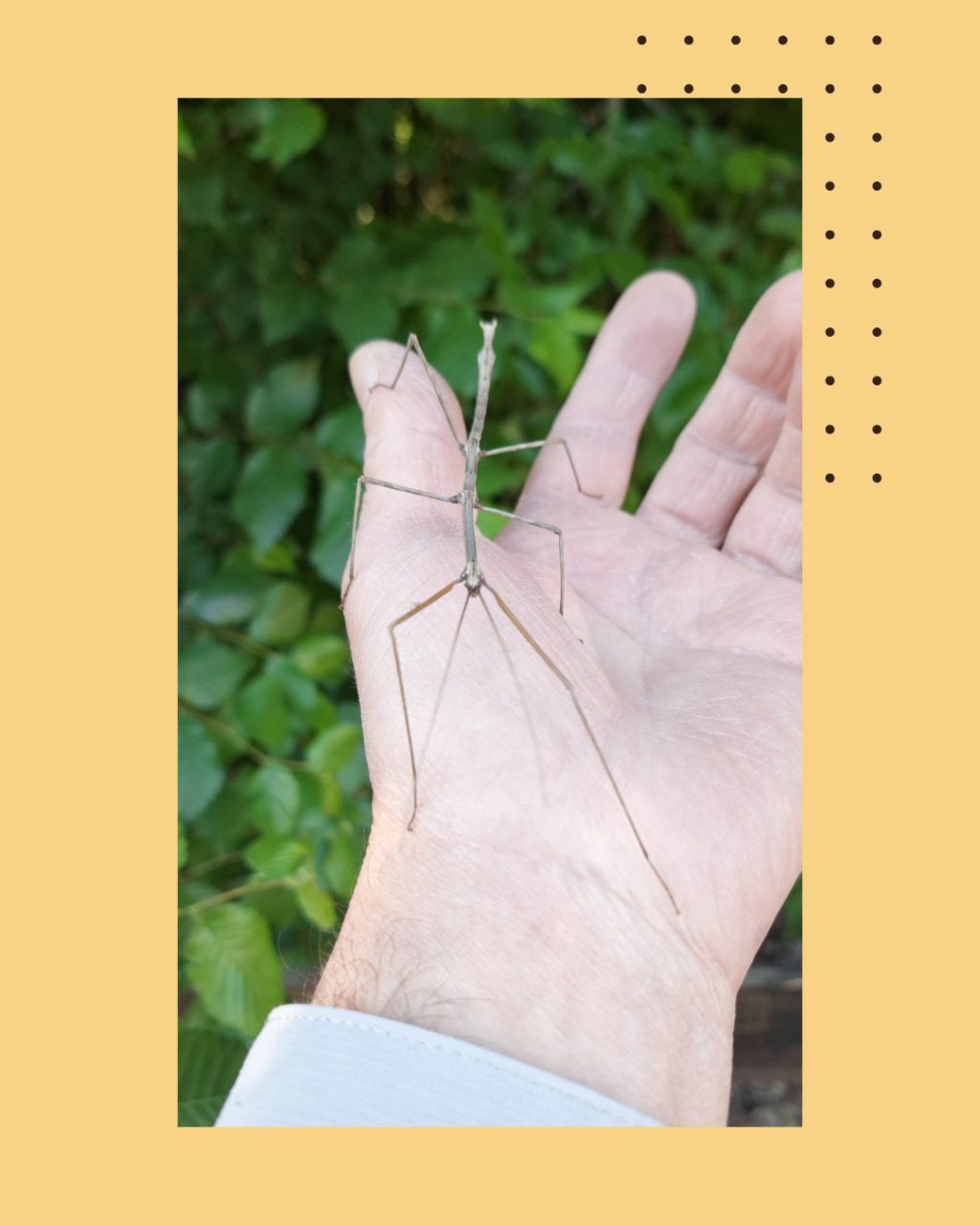 Instagram post from rosarioconcha1913. This post is in position 5.