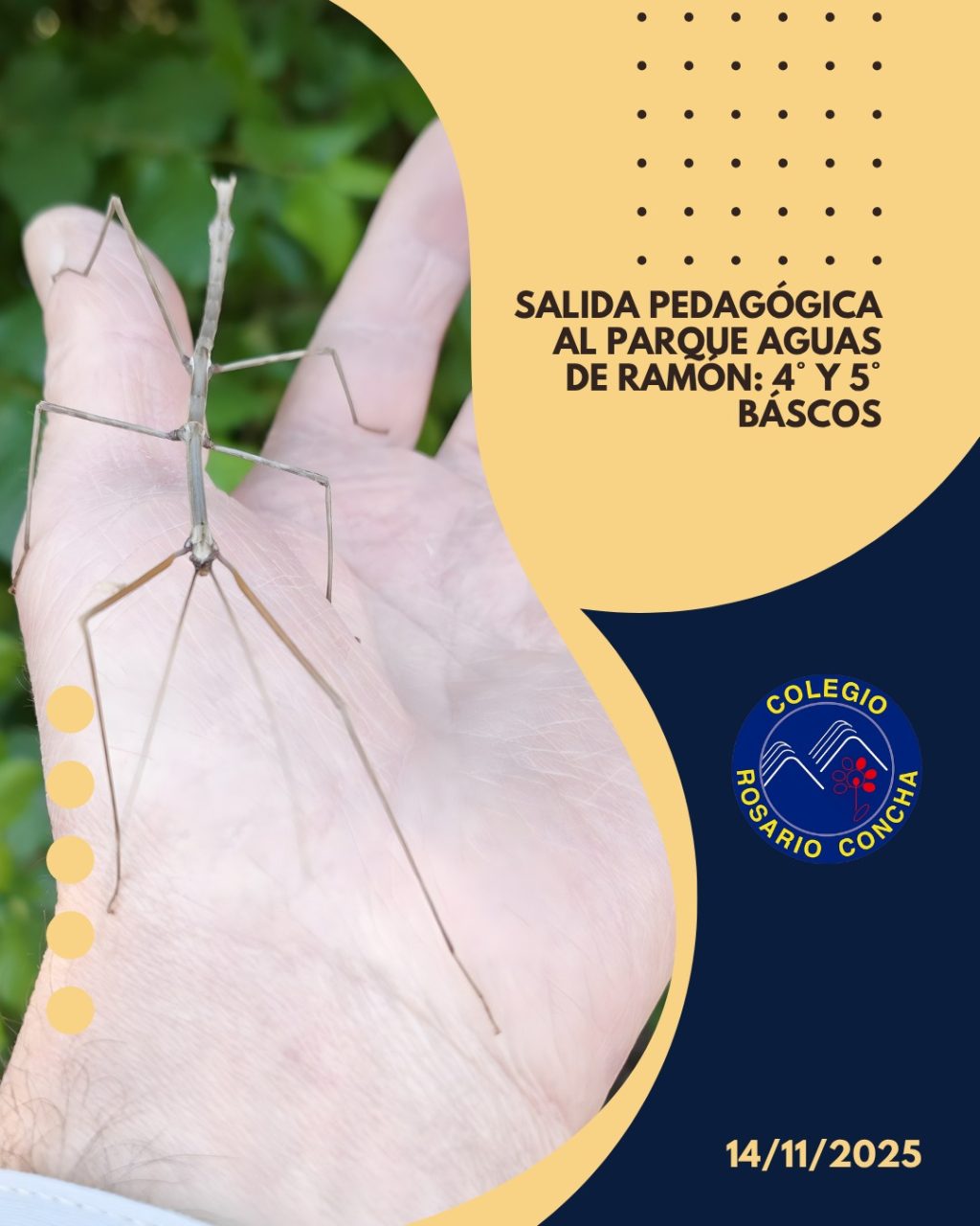 Instagram post from rosarioconcha1913. This post is in position 0.